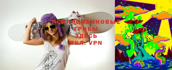 стафф Баксан
